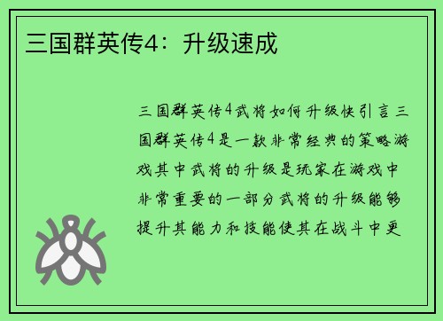 三国群英传4：升级速成